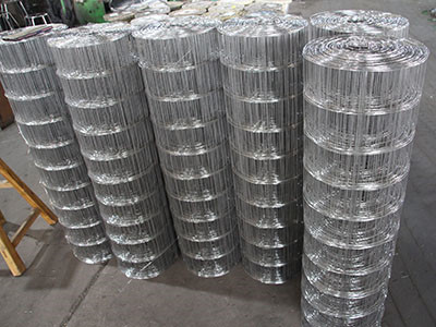 不锈钢电焊网图片3