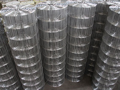 不锈钢电焊网图片4